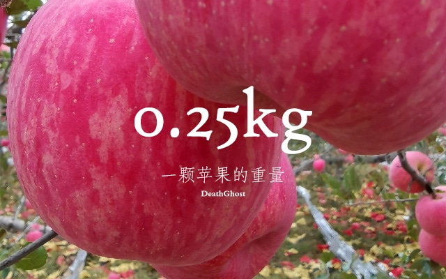 一颗苹果重0.25kg